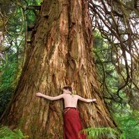 Arthur y la venganza de Maltazard