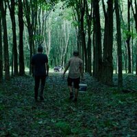 This Giant Beast That is the Global Economy