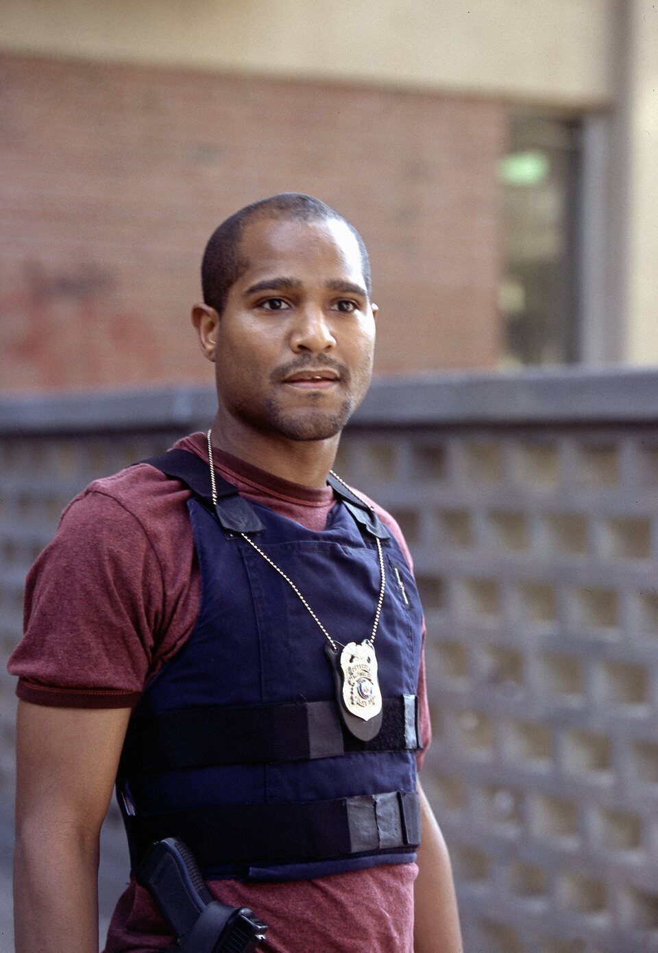 The Wire (Bajo escucha)