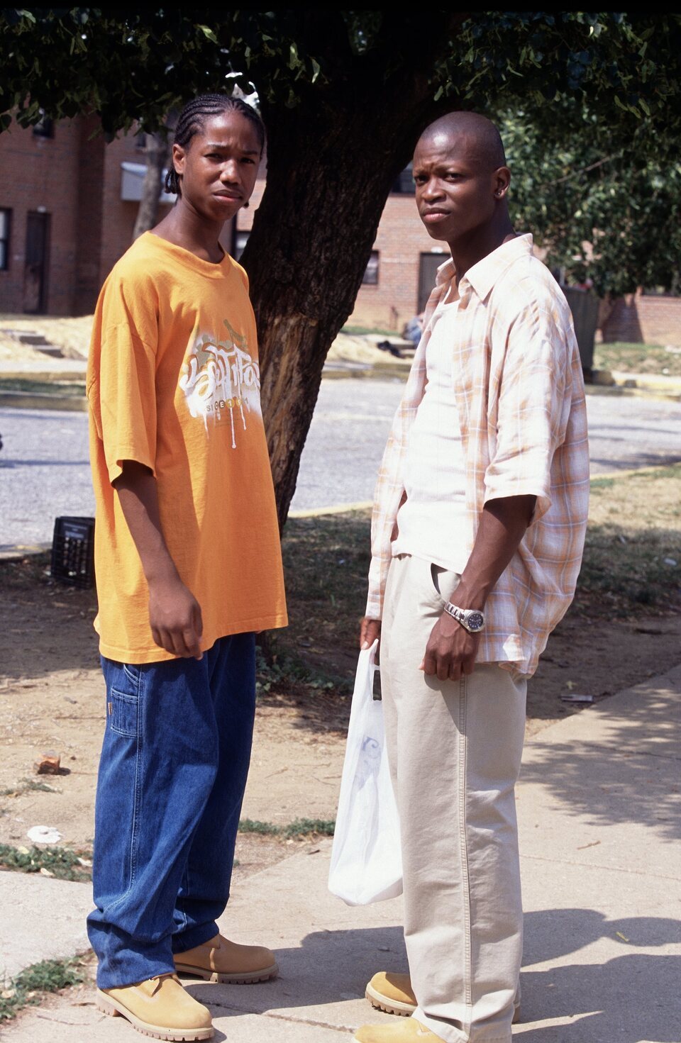The Wire (Bajo escucha)