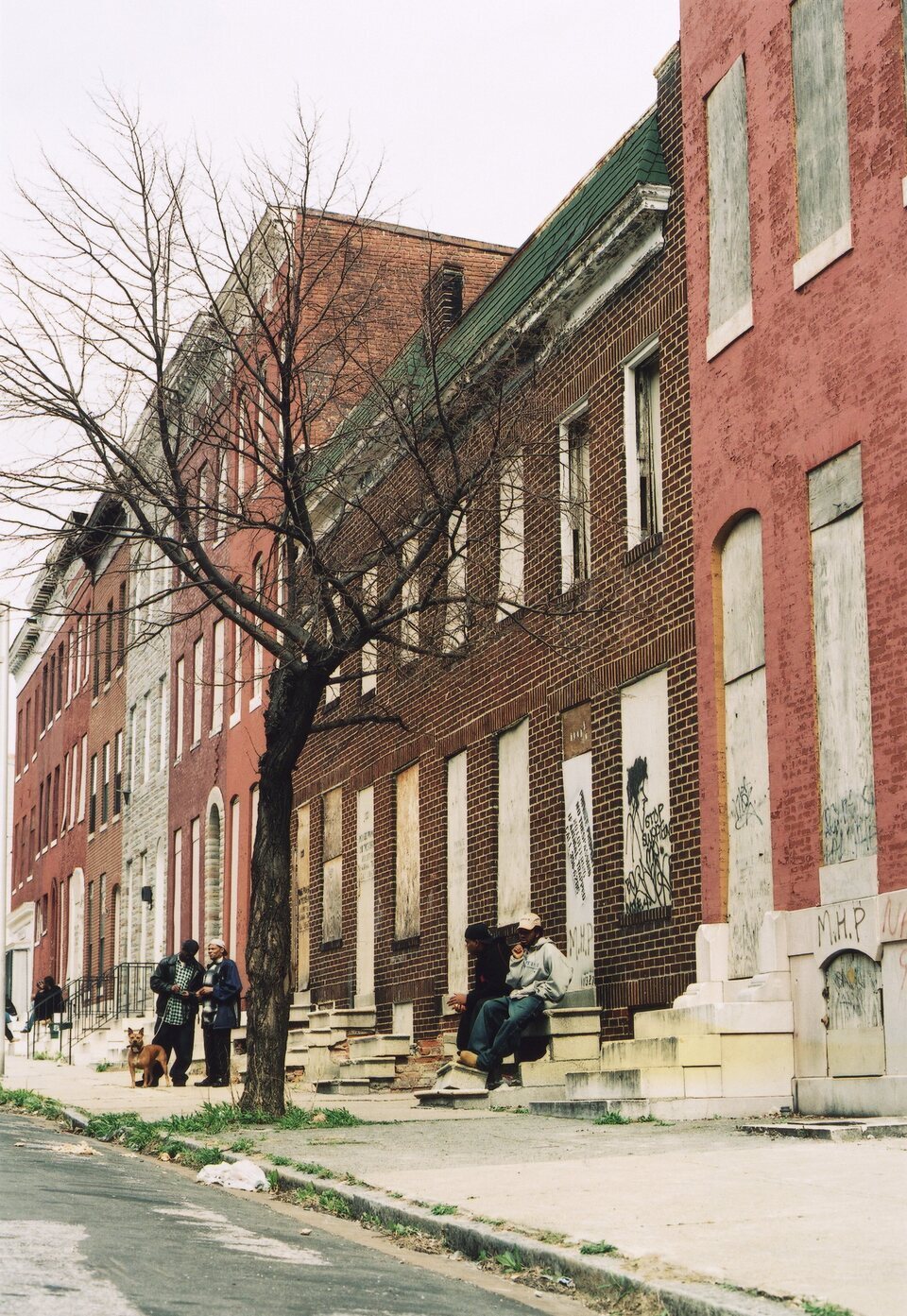 The Wire (Bajo escucha)