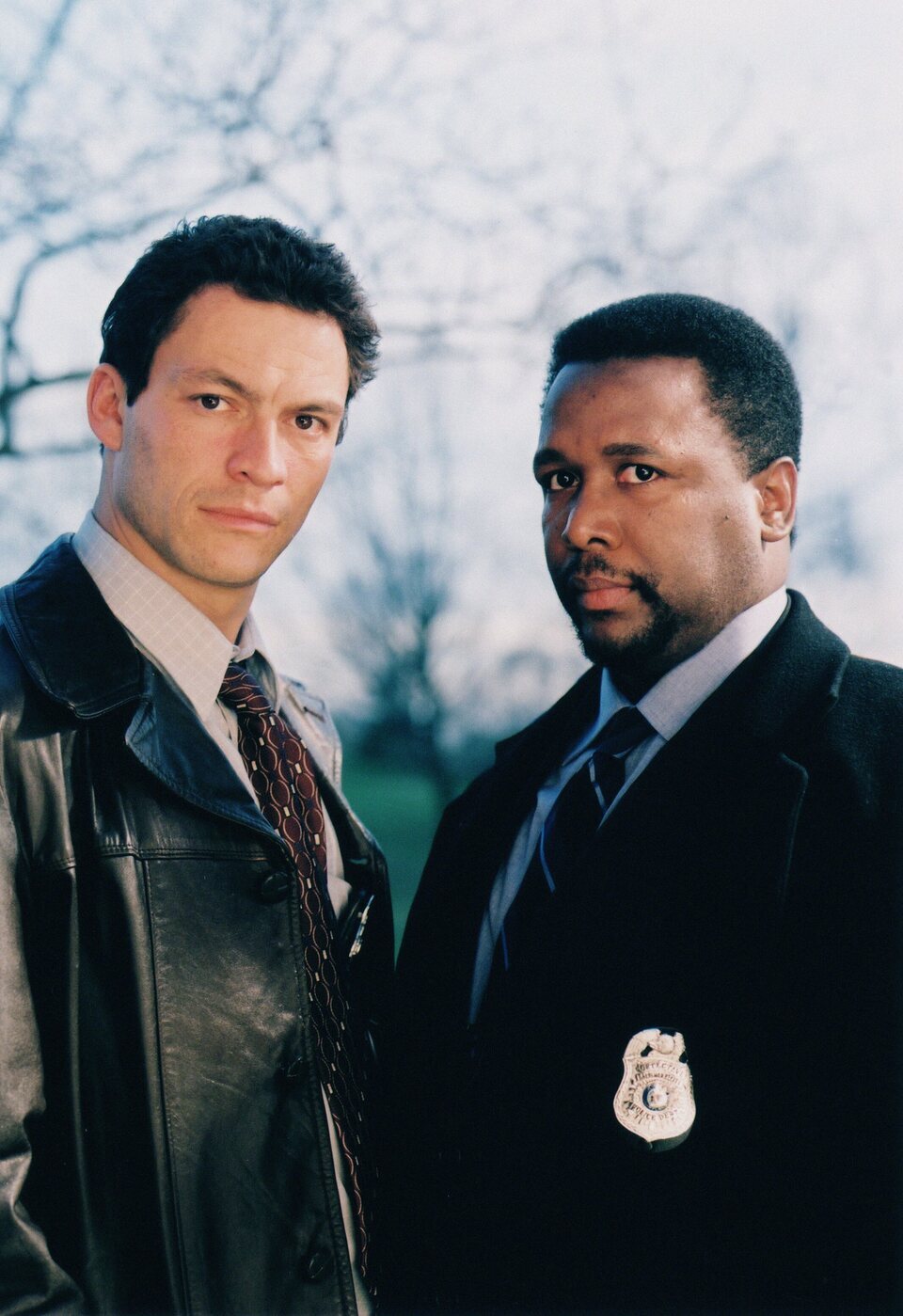 The Wire (Bajo escucha)