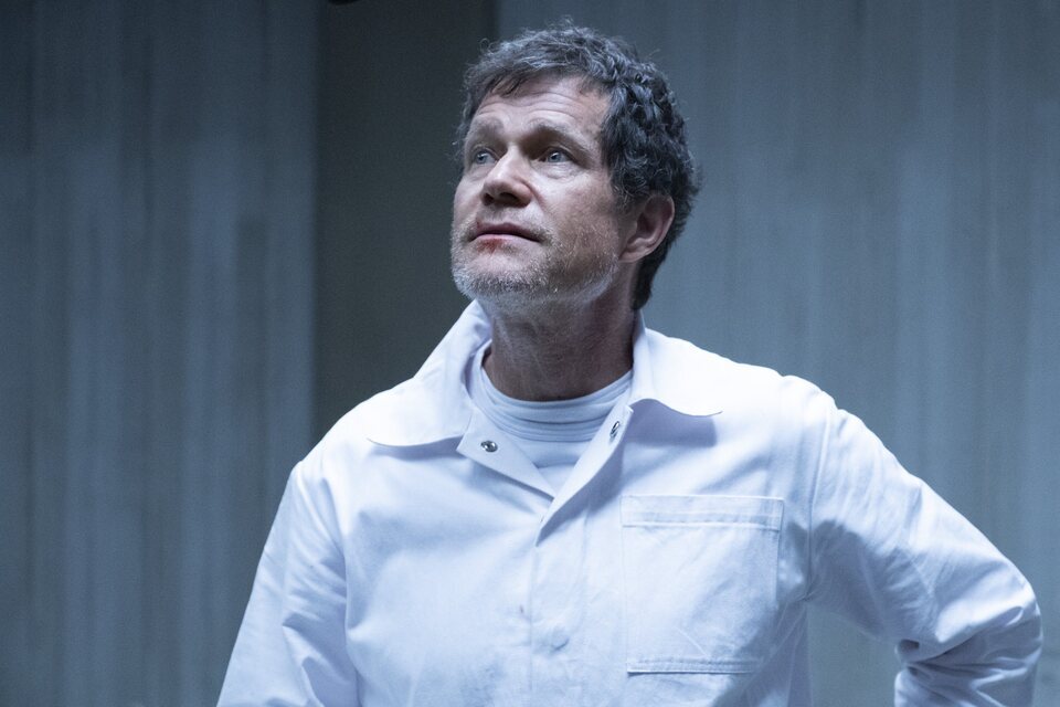 Whiskey Cavalier