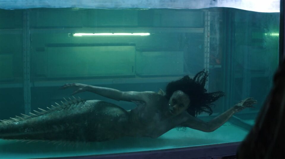 Siren