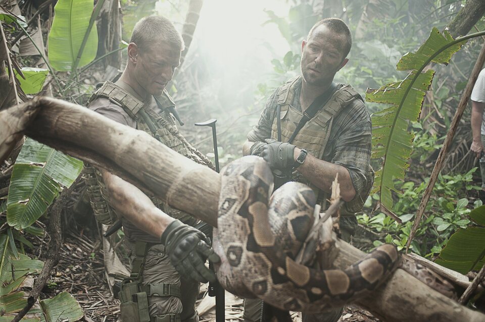 Strike Back