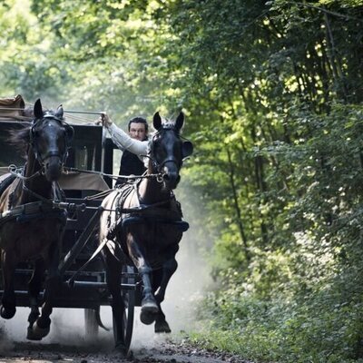 The Alienist