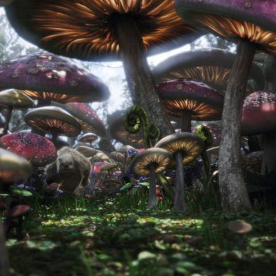 Alicia en el País de las Maravillas