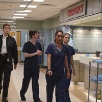The Good Doctor
