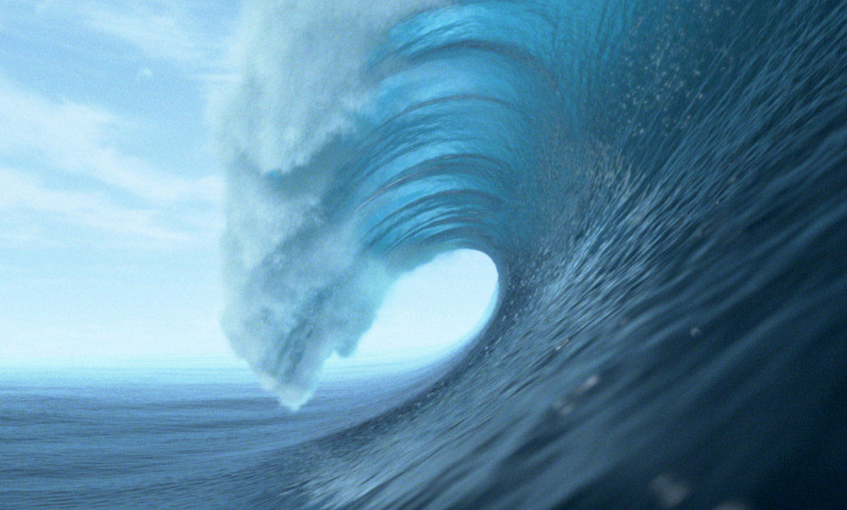 Locos por el surf