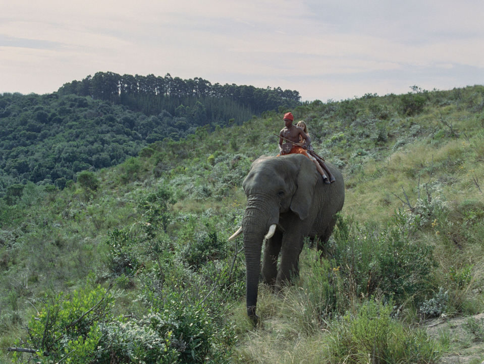 Viaje mágico a África