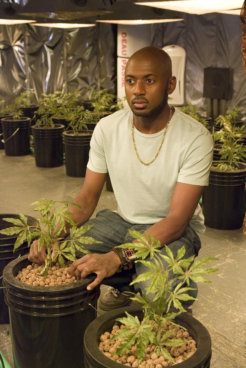 Weeds