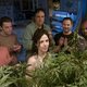 Weeds