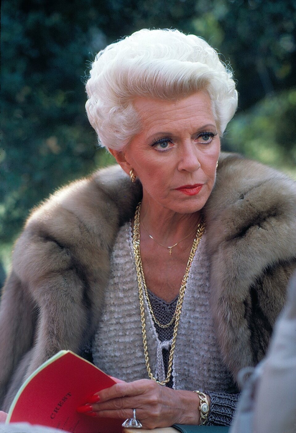 Falcon Crest