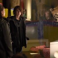 The Strain