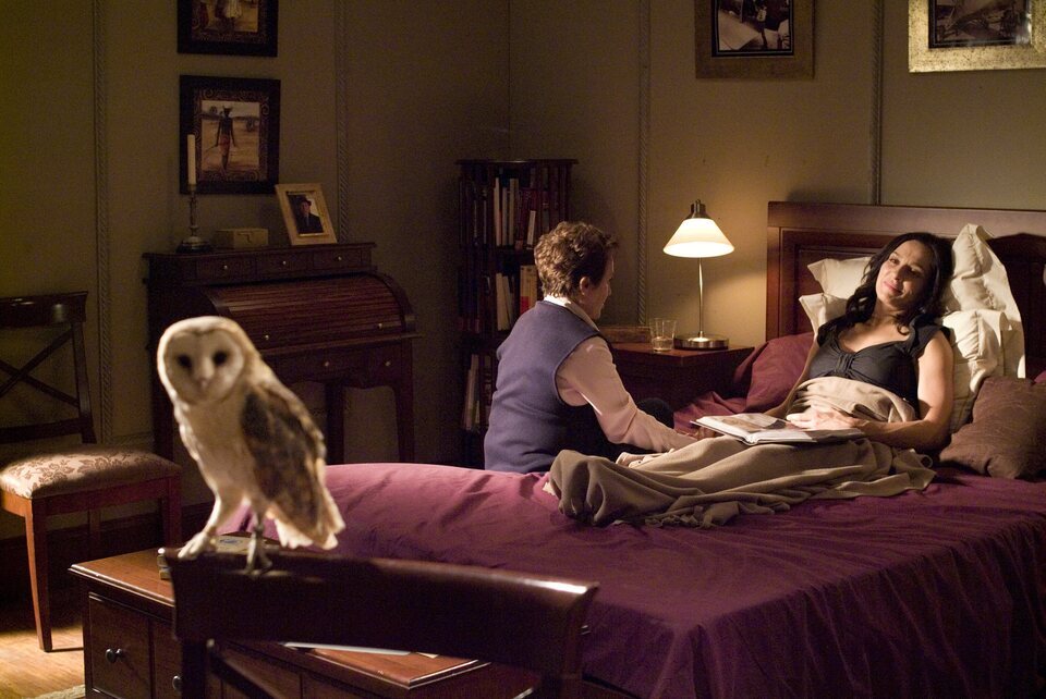 El internado