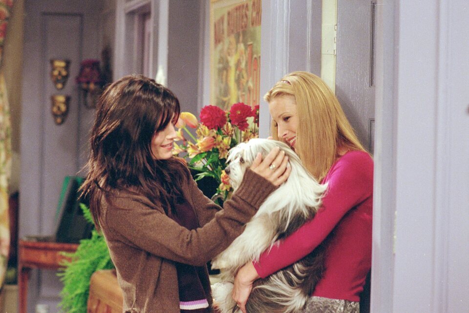 Friends