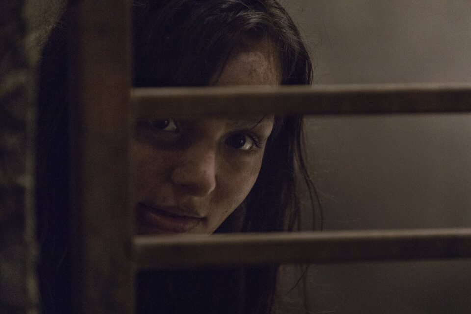 The Walking Dead