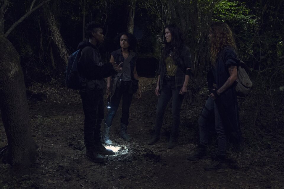 The Walking Dead