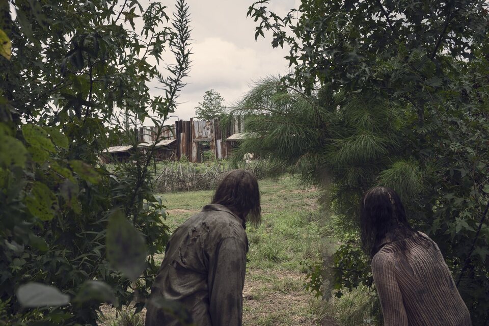 The Walking Dead