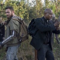 The Walking Dead