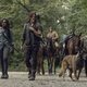 The Walking Dead