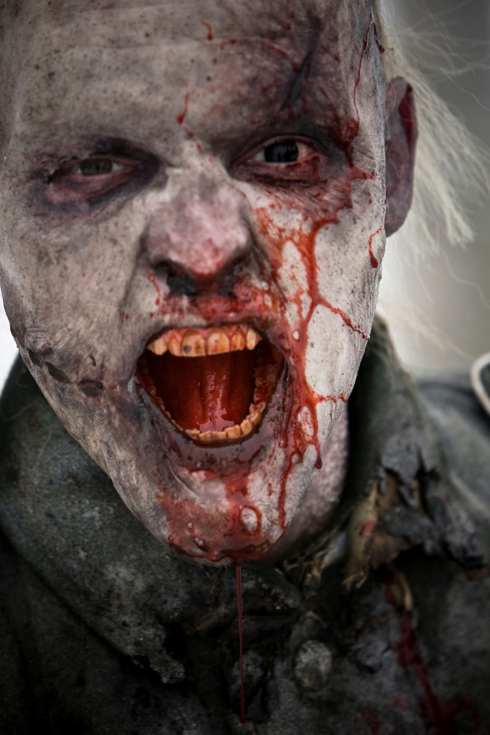 Zombis nazis