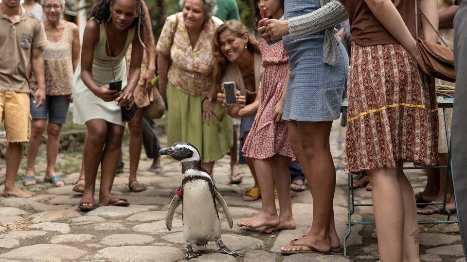 Mi amigo el pingüino