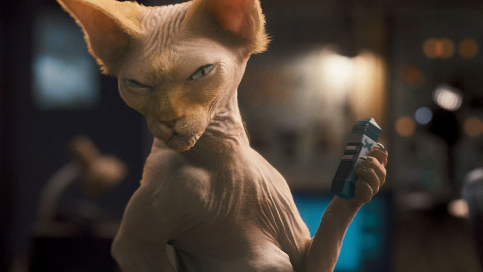 Como perros y gatos: La revancha de Kitty Galore