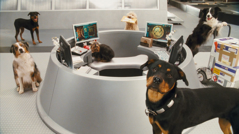 Como perros y gatos: La revancha de Kitty Galore