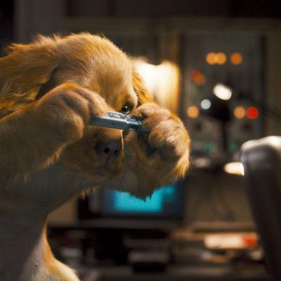 Como perros y gatos: La revancha de Kitty Galore