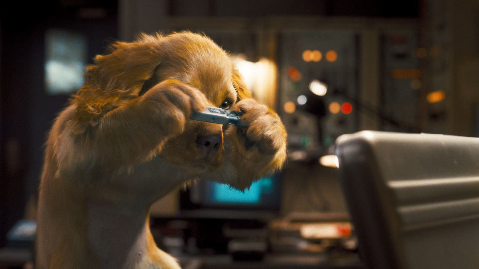 Como perros y gatos: La revancha de Kitty Galore