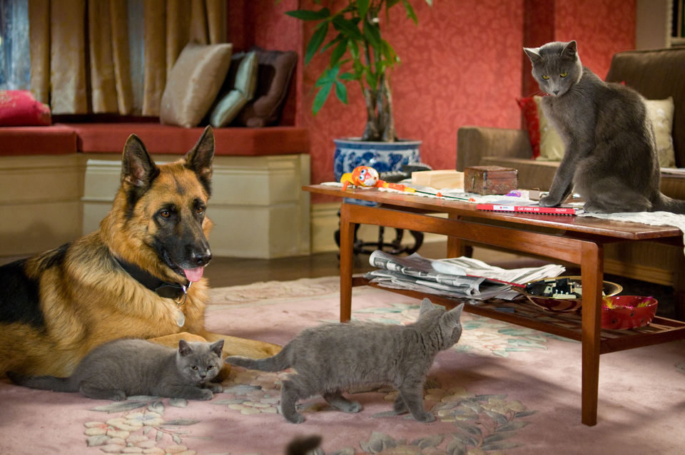 Como perros y gatos: La revancha de Kitty Galore