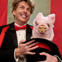 Como perros y gatos: La revancha de Kitty Galore