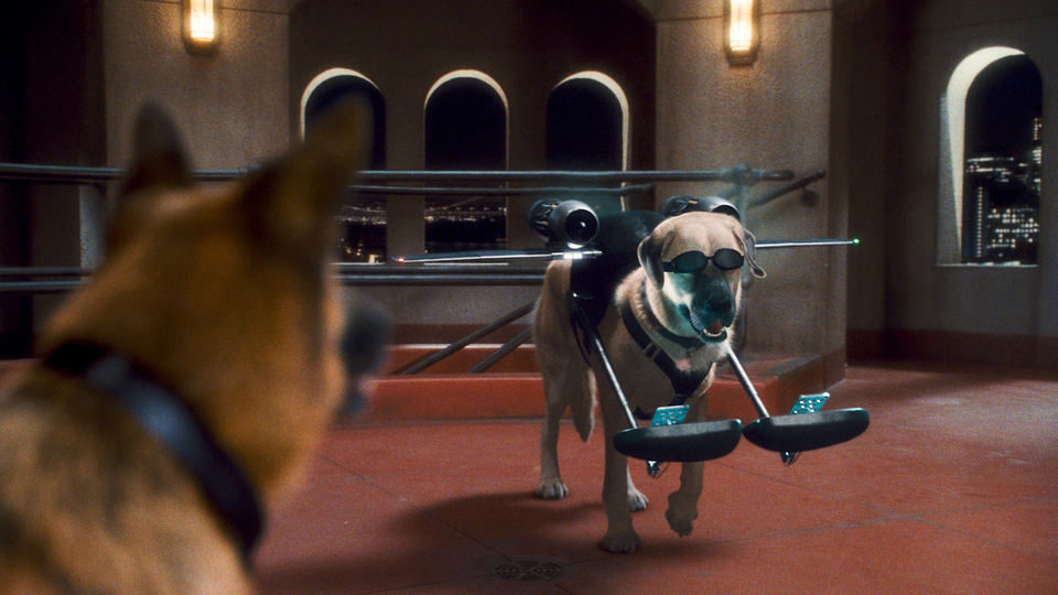 Como perros y gatos: La revancha de Kitty Galore