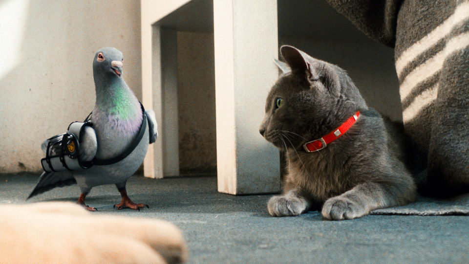 Como perros y gatos: La revancha de Kitty Galore