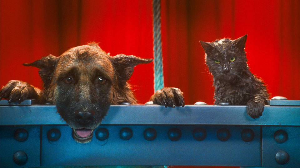 Como perros y gatos: La revancha de Kitty Galore