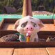 Moana 2