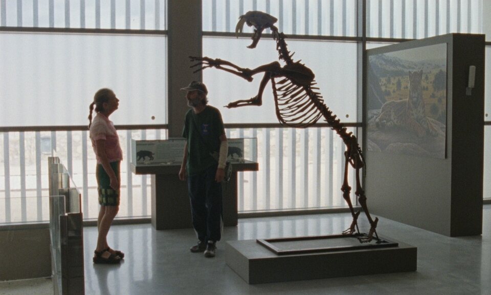 Historia de pastores