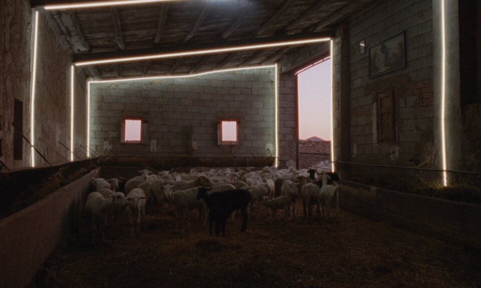 Historia de pastores