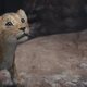 Mufasa: El Rey León