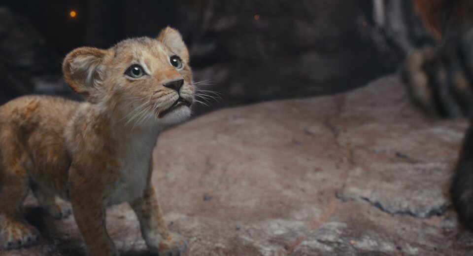 Mufasa: El Rey León