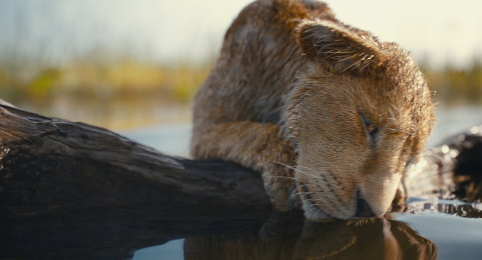 Mufasa: El Rey León