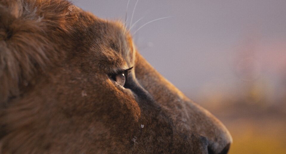 Mufasa: El Rey León