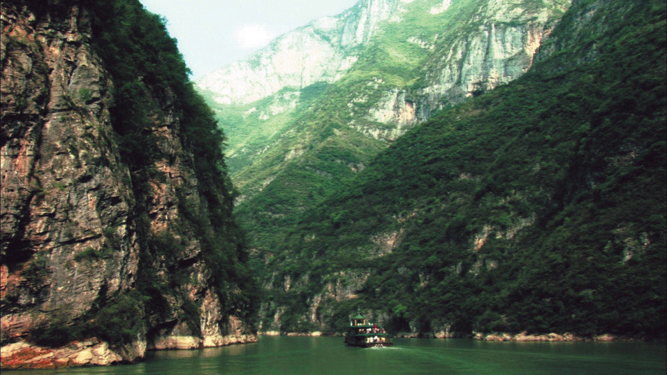 Naturaleza muerta