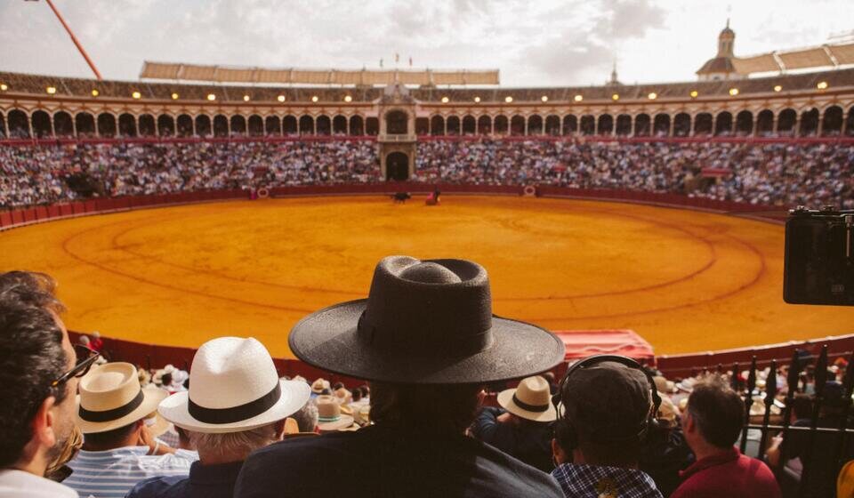 Tardes de soledad