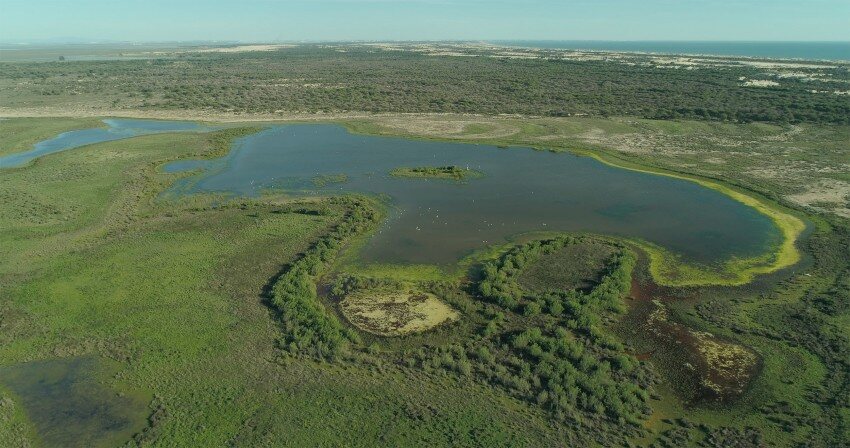 Doñana: donde el agua es sagrada