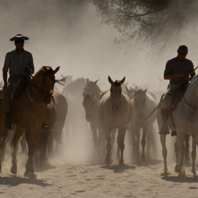 Doñana: donde el agua es sagrada