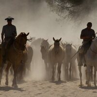 Doñana