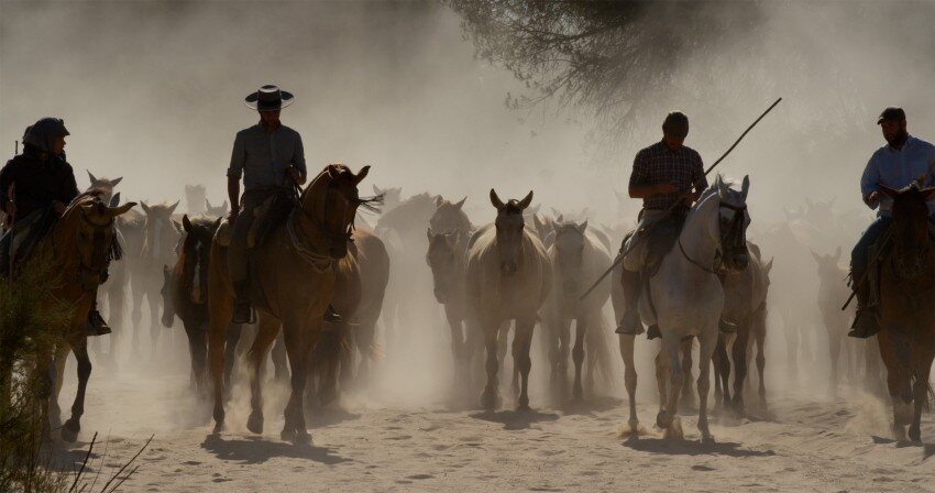 Doñana: donde el agua es sagrada