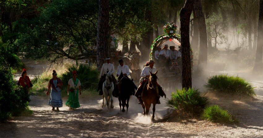 Doñana: donde el agua es sagrada